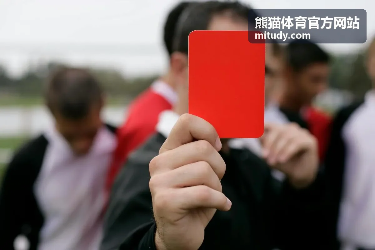 熊猫体育官方网站澳网公开赛封面